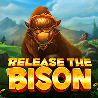 Release the Bison screenshot